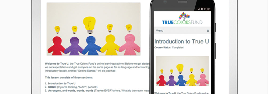 We’re Training Every Houston/Harris County Service Provider on LGBT Inclusion