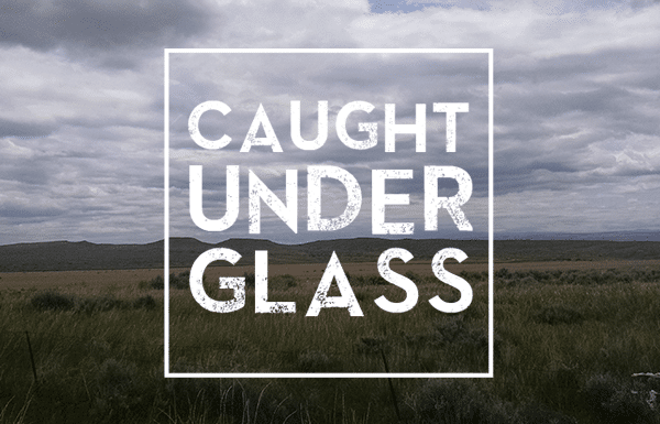 Caught-Under-Glass-header