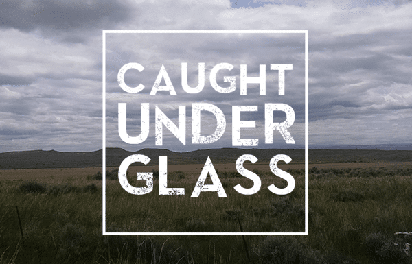 Caught Under Glass: Writing that Captivates