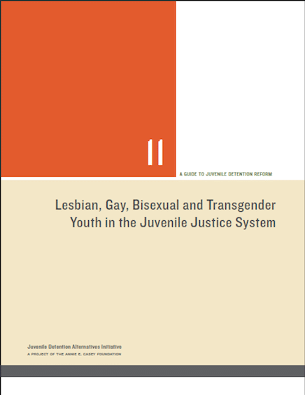 Lesbian, Gay, Bisexual and Transgender Youth in the Juvenile Justice System