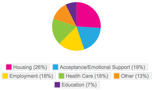 Needs of LGBQ Youth