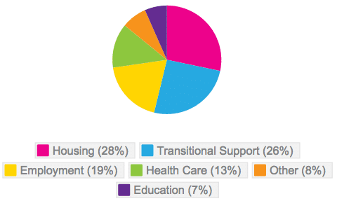 Needs of Transgender Youth